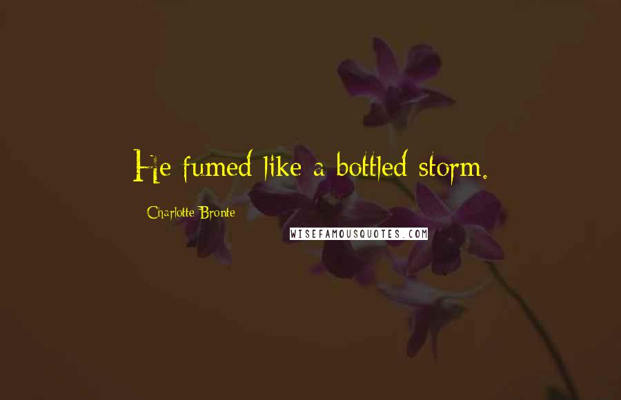 Charlotte Bronte Quotes: He fumed like a bottled storm.
