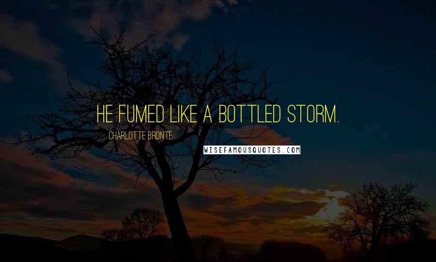Charlotte Bronte Quotes: He fumed like a bottled storm.