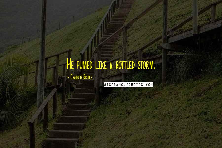 Charlotte Bronte Quotes: He fumed like a bottled storm.