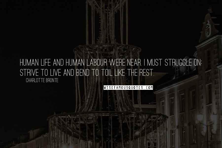 Charlotte Bronte Quotes: Human life and human labour were near. I must struggle on: strive to live and bend to toil like the rest.