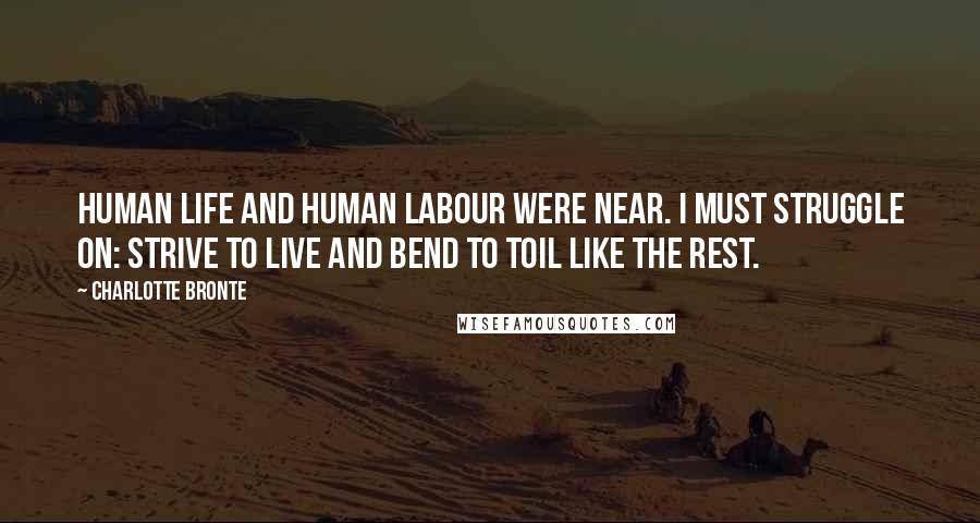 Charlotte Bronte Quotes: Human life and human labour were near. I must struggle on: strive to live and bend to toil like the rest.