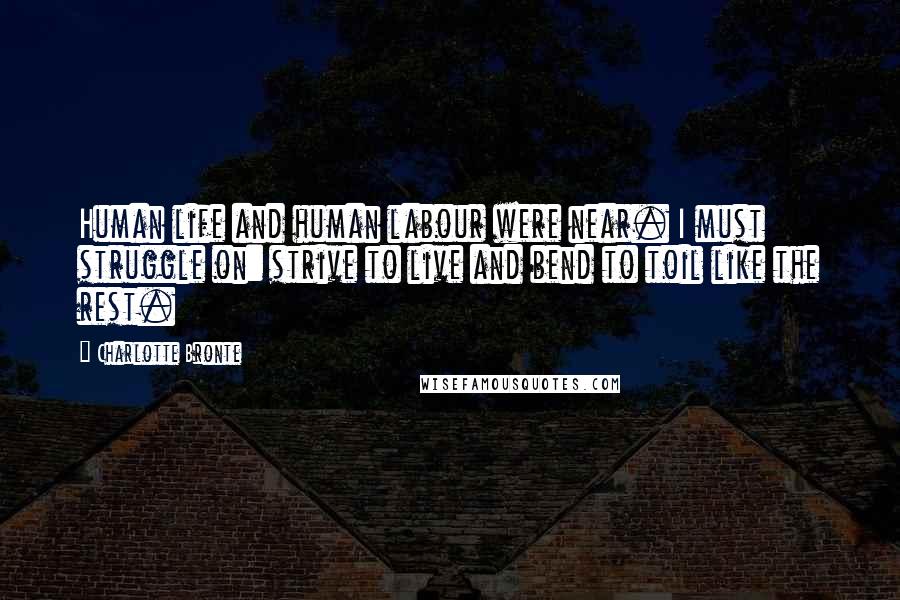 Charlotte Bronte Quotes: Human life and human labour were near. I must struggle on: strive to live and bend to toil like the rest.