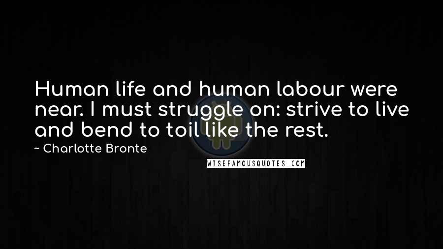 Charlotte Bronte Quotes: Human life and human labour were near. I must struggle on: strive to live and bend to toil like the rest.