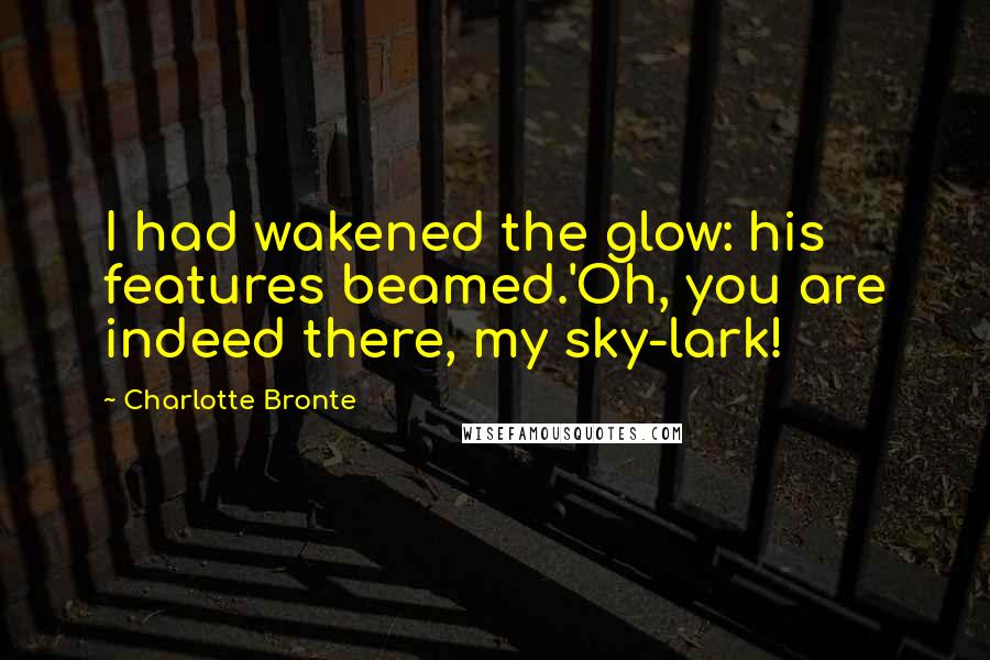 Charlotte Bronte Quotes: I had wakened the glow: his features beamed.'Oh, you are indeed there, my sky-lark!
