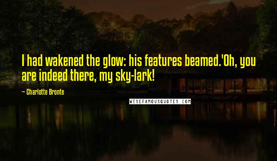 Charlotte Bronte Quotes: I had wakened the glow: his features beamed.'Oh, you are indeed there, my sky-lark!