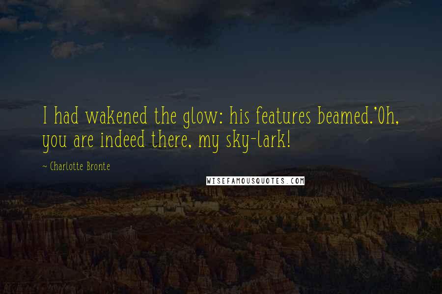 Charlotte Bronte Quotes: I had wakened the glow: his features beamed.'Oh, you are indeed there, my sky-lark!
