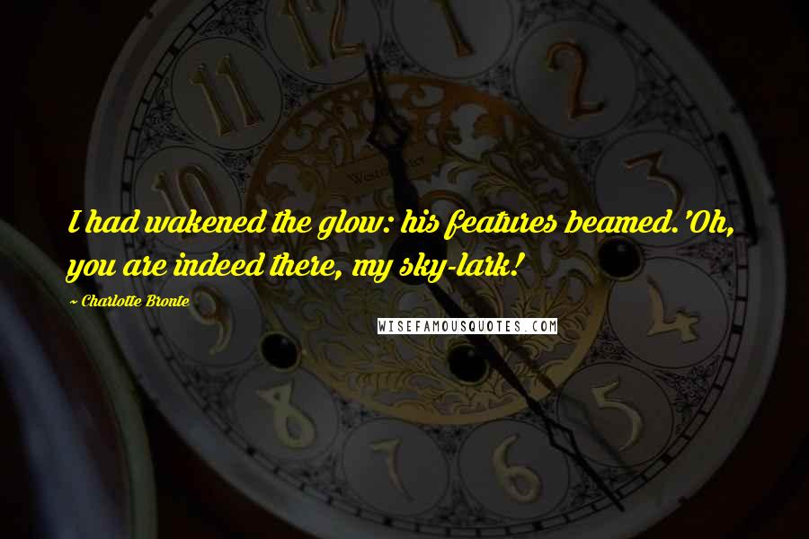 Charlotte Bronte Quotes: I had wakened the glow: his features beamed.'Oh, you are indeed there, my sky-lark!