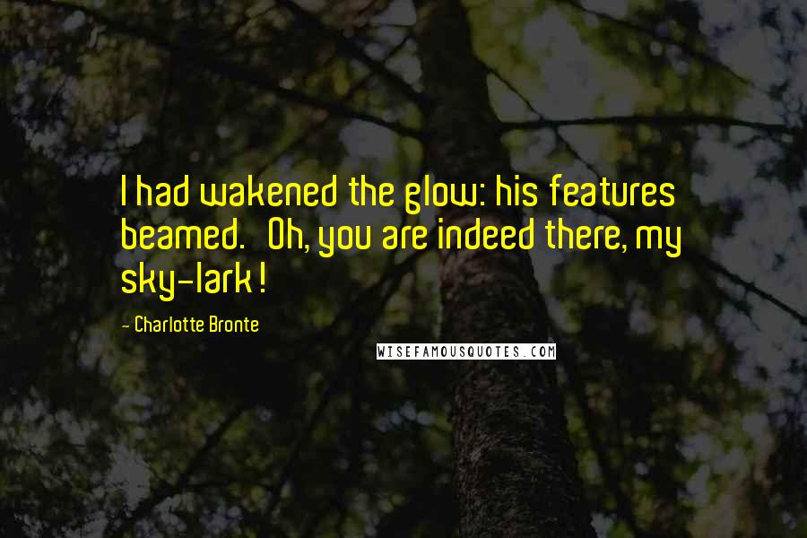 Charlotte Bronte Quotes: I had wakened the glow: his features beamed.'Oh, you are indeed there, my sky-lark!