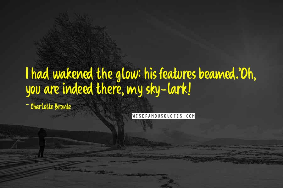 Charlotte Bronte Quotes: I had wakened the glow: his features beamed.'Oh, you are indeed there, my sky-lark!