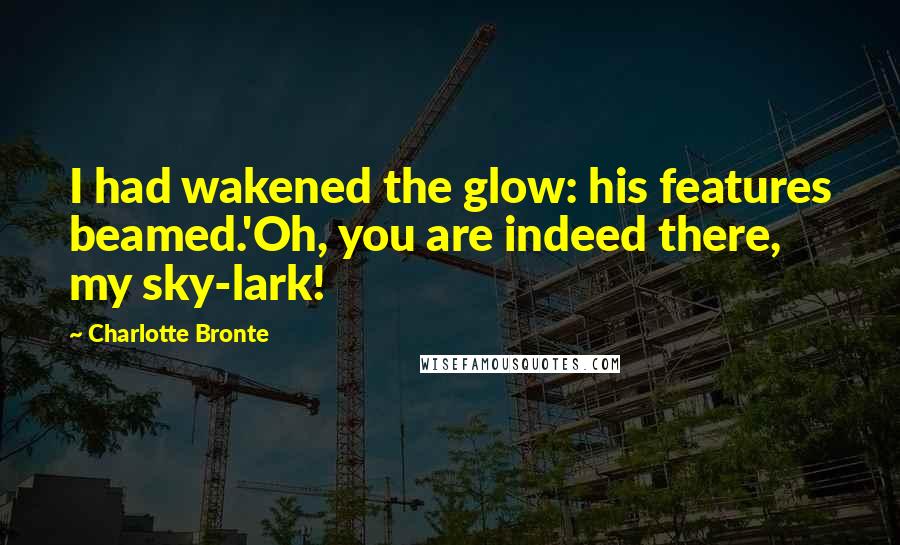 Charlotte Bronte Quotes: I had wakened the glow: his features beamed.'Oh, you are indeed there, my sky-lark!