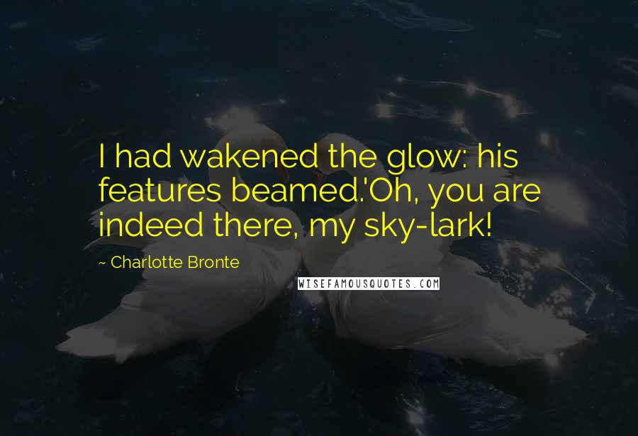 Charlotte Bronte Quotes: I had wakened the glow: his features beamed.'Oh, you are indeed there, my sky-lark!