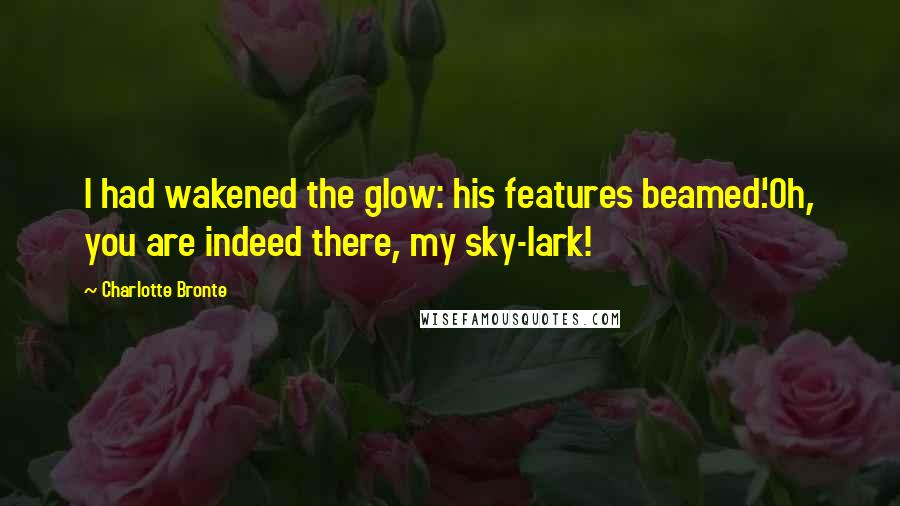 Charlotte Bronte Quotes: I had wakened the glow: his features beamed.'Oh, you are indeed there, my sky-lark!