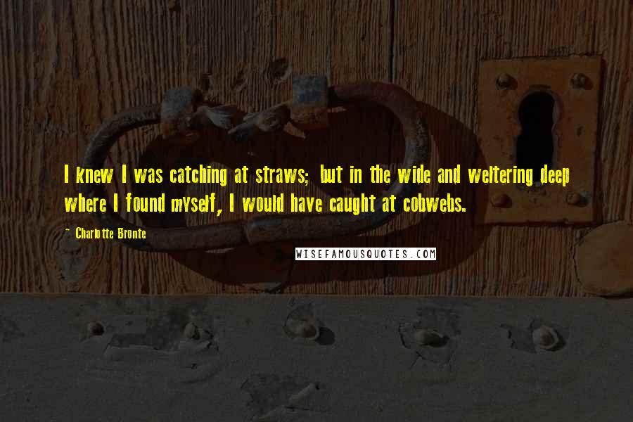 Charlotte Bronte Quotes: I knew I was catching at straws; but in the wide and weltering deep where I found myself, I would have caught at cobwebs.