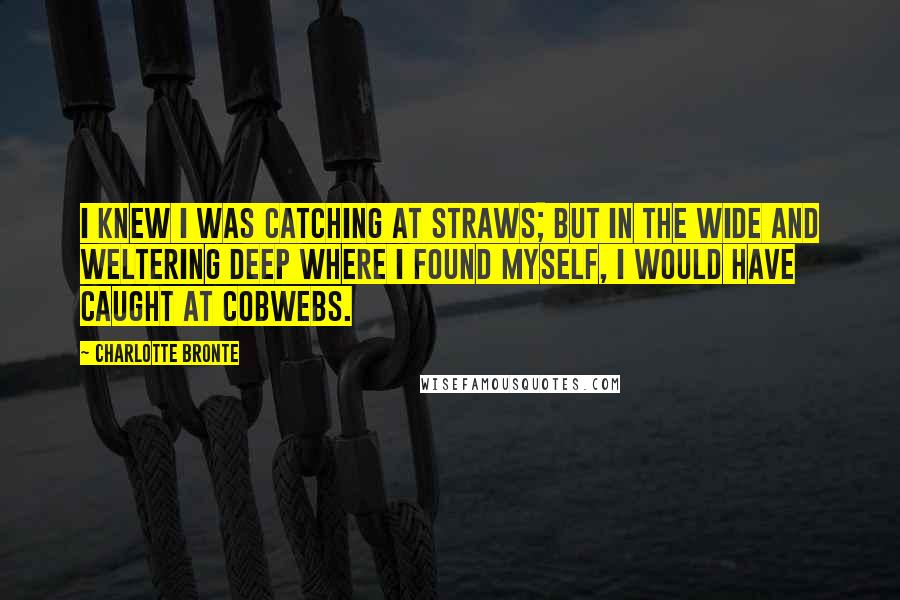 Charlotte Bronte Quotes: I knew I was catching at straws; but in the wide and weltering deep where I found myself, I would have caught at cobwebs.