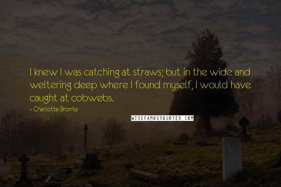 Charlotte Bronte Quotes: I knew I was catching at straws; but in the wide and weltering deep where I found myself, I would have caught at cobwebs.