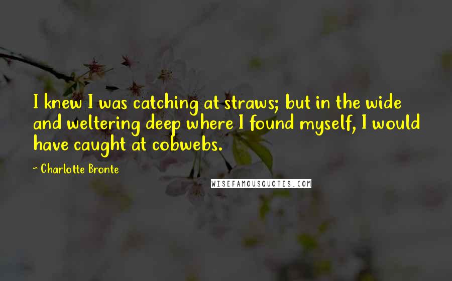 Charlotte Bronte Quotes: I knew I was catching at straws; but in the wide and weltering deep where I found myself, I would have caught at cobwebs.