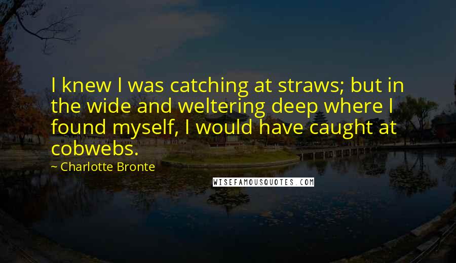 Charlotte Bronte Quotes: I knew I was catching at straws; but in the wide and weltering deep where I found myself, I would have caught at cobwebs.