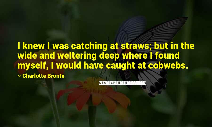 Charlotte Bronte Quotes: I knew I was catching at straws; but in the wide and weltering deep where I found myself, I would have caught at cobwebs.