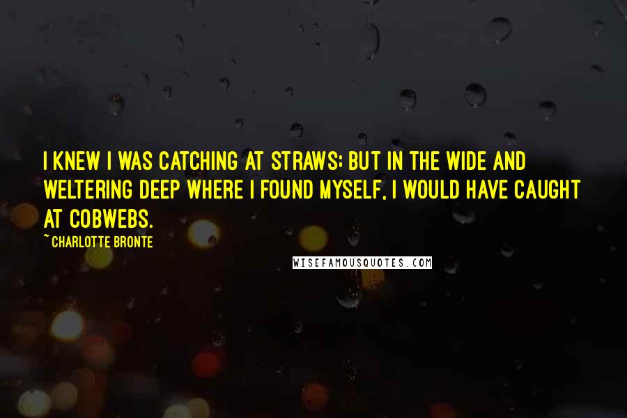 Charlotte Bronte Quotes: I knew I was catching at straws; but in the wide and weltering deep where I found myself, I would have caught at cobwebs.