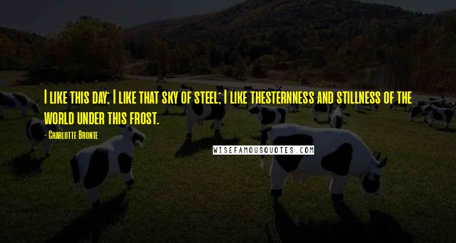 Charlotte Bronte Quotes: I like this day; I like that sky of steel; I like thesternness and stillness of the world under this frost.