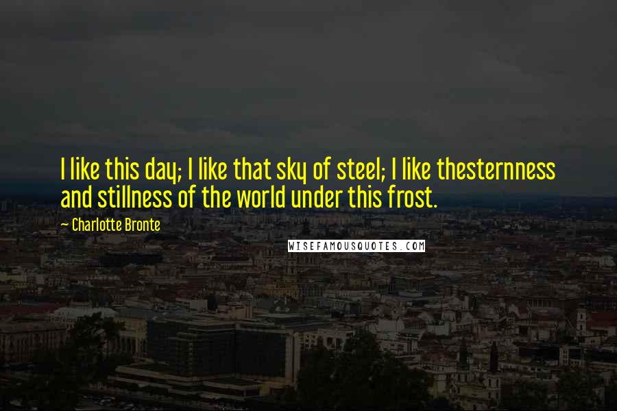 Charlotte Bronte Quotes: I like this day; I like that sky of steel; I like thesternness and stillness of the world under this frost.