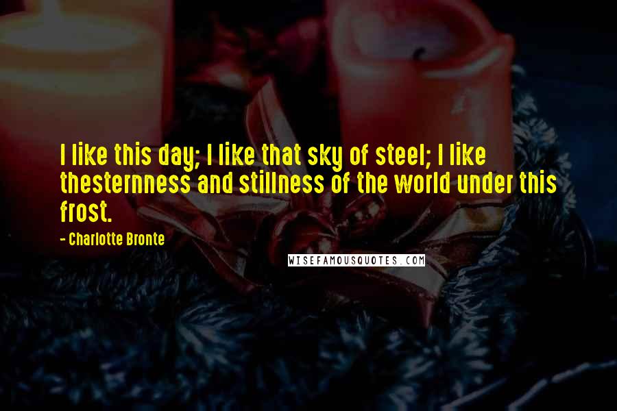 Charlotte Bronte Quotes: I like this day; I like that sky of steel; I like thesternness and stillness of the world under this frost.