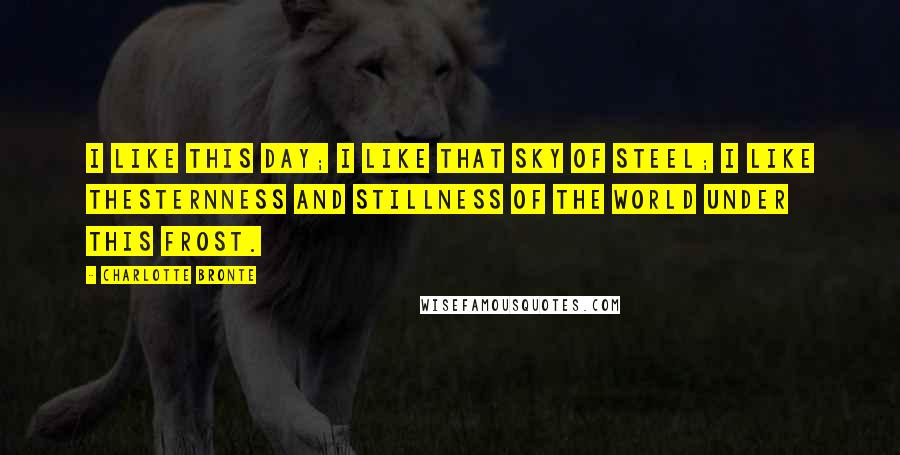 Charlotte Bronte Quotes: I like this day; I like that sky of steel; I like thesternness and stillness of the world under this frost.