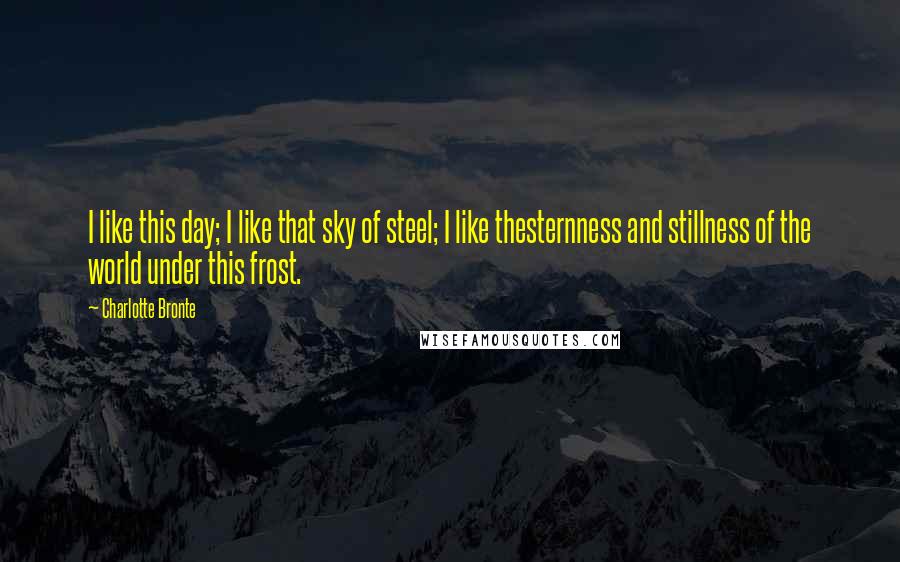 Charlotte Bronte Quotes: I like this day; I like that sky of steel; I like thesternness and stillness of the world under this frost.