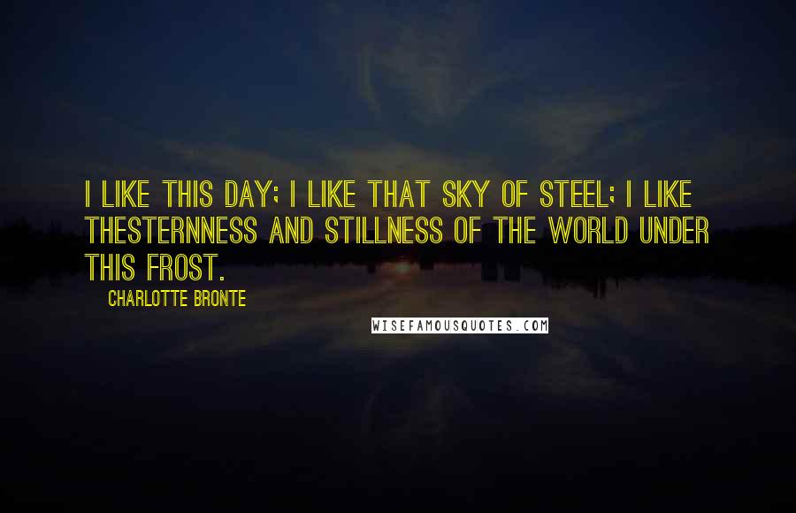 Charlotte Bronte Quotes: I like this day; I like that sky of steel; I like thesternness and stillness of the world under this frost.