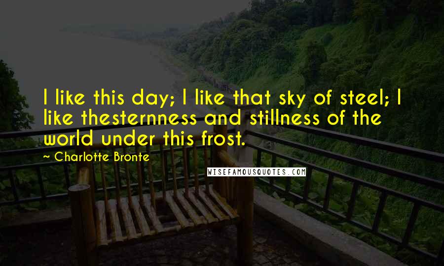 Charlotte Bronte Quotes: I like this day; I like that sky of steel; I like thesternness and stillness of the world under this frost.