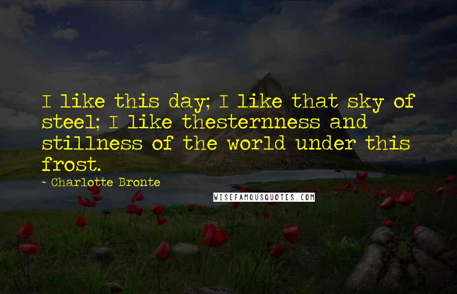 Charlotte Bronte Quotes: I like this day; I like that sky of steel; I like thesternness and stillness of the world under this frost.