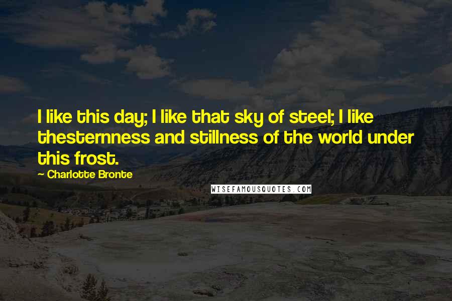 Charlotte Bronte Quotes: I like this day; I like that sky of steel; I like thesternness and stillness of the world under this frost.