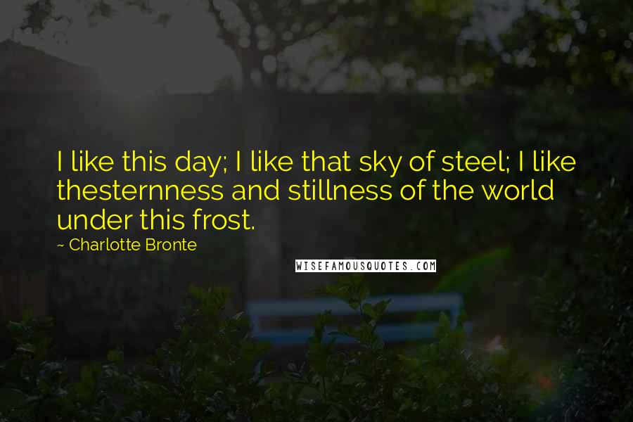 Charlotte Bronte Quotes: I like this day; I like that sky of steel; I like thesternness and stillness of the world under this frost.