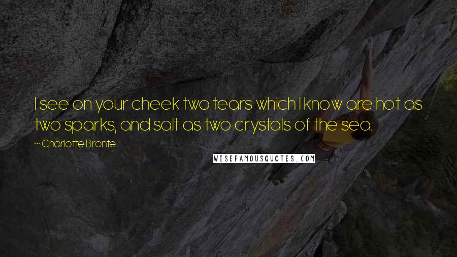 Charlotte Bronte Quotes: I see on your cheek two tears which I know are hot as two sparks, and salt as two crystals of the sea.