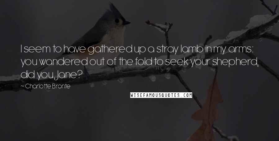 Charlotte Bronte Quotes: I seem to have gathered up a stray lamb in my arms: you wandered out of the fold to seek your shepherd, did you, Jane?