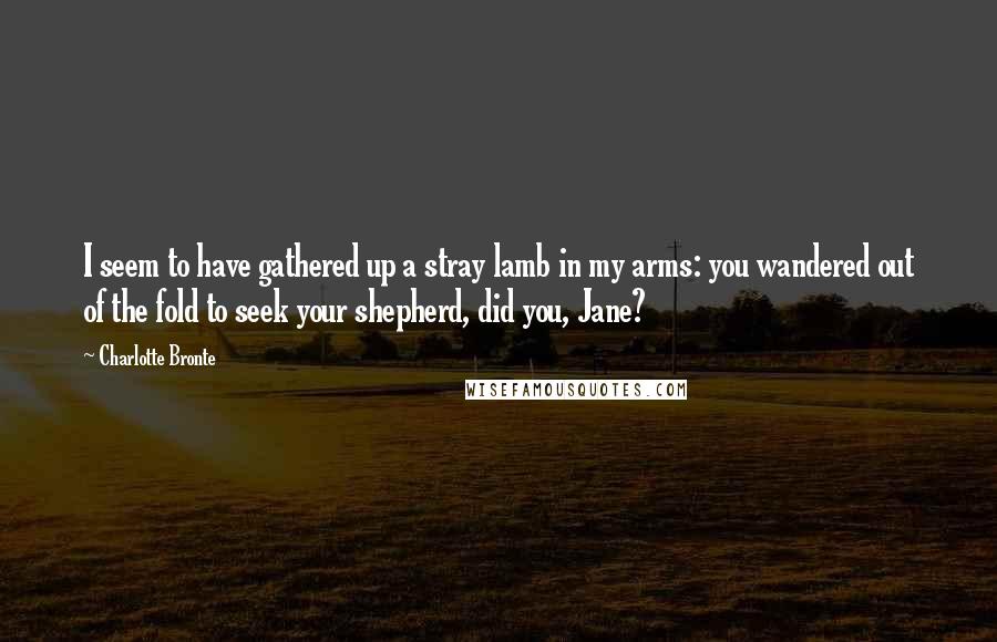 Charlotte Bronte Quotes: I seem to have gathered up a stray lamb in my arms: you wandered out of the fold to seek your shepherd, did you, Jane?