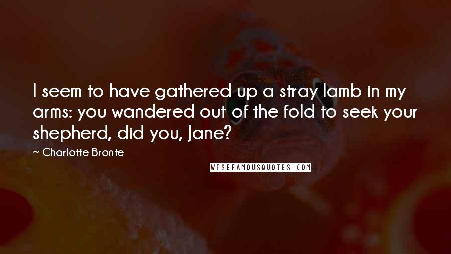 Charlotte Bronte Quotes: I seem to have gathered up a stray lamb in my arms: you wandered out of the fold to seek your shepherd, did you, Jane?