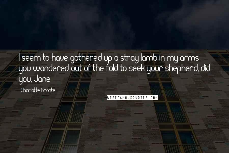 Charlotte Bronte Quotes: I seem to have gathered up a stray lamb in my arms: you wandered out of the fold to seek your shepherd, did you, Jane?