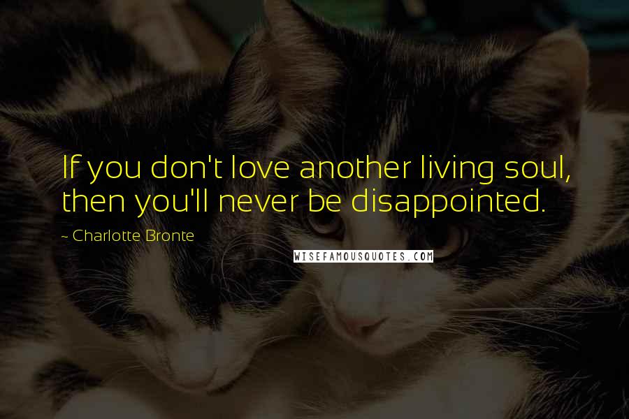 Charlotte Bronte Quotes: If you don't love another living soul, then you'll never be disappointed.