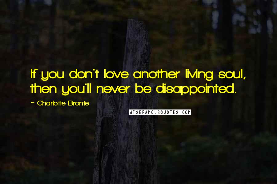 Charlotte Bronte Quotes: If you don't love another living soul, then you'll never be disappointed.