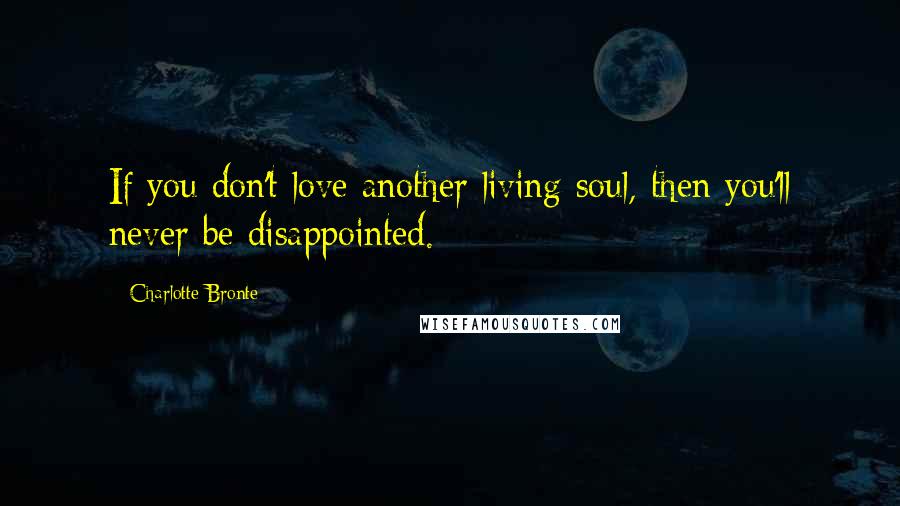 Charlotte Bronte Quotes: If you don't love another living soul, then you'll never be disappointed.