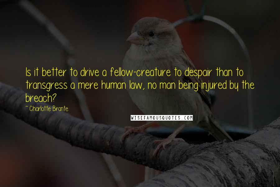 Charlotte Bronte Quotes: Is it better to drive a fellow-creature to despair than to transgress a mere human law, no man being injured by the breach?