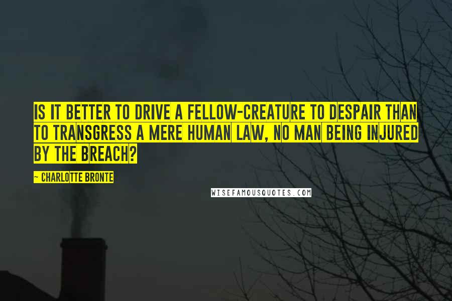 Charlotte Bronte Quotes: Is it better to drive a fellow-creature to despair than to transgress a mere human law, no man being injured by the breach?