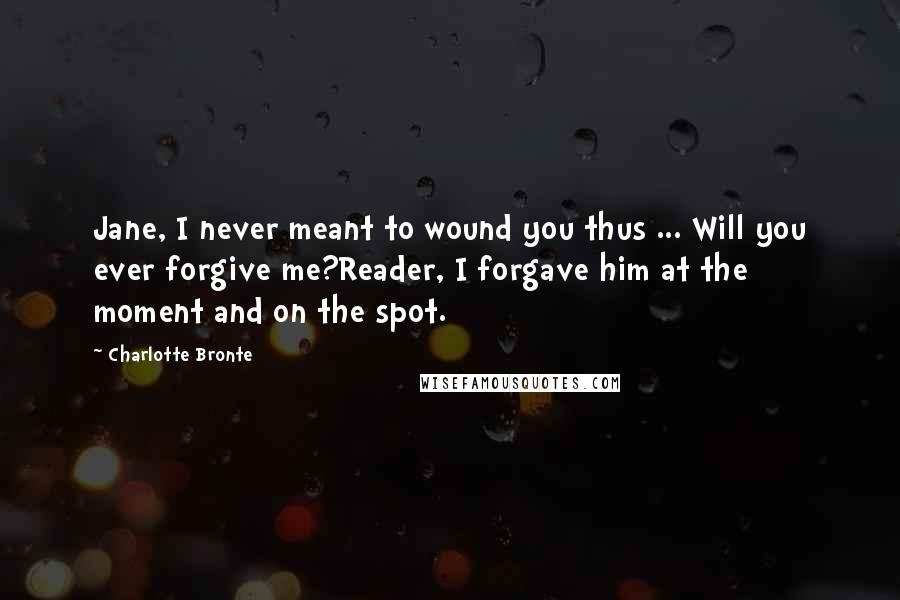 Charlotte Bronte Quotes: Jane, I never meant to wound you thus ... Will you ever forgive me?Reader, I forgave him at the moment and on the spot.