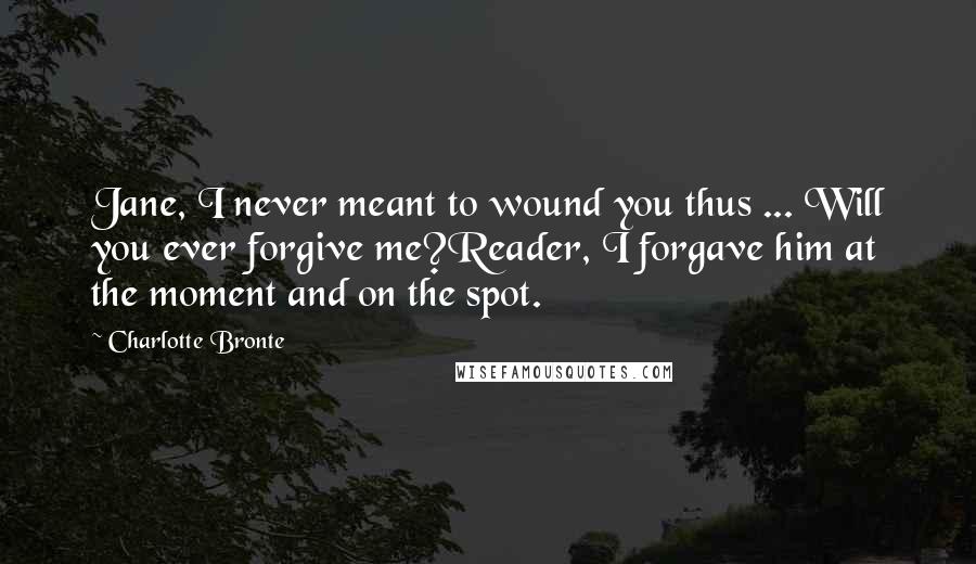 Charlotte Bronte Quotes: Jane, I never meant to wound you thus ... Will you ever forgive me?Reader, I forgave him at the moment and on the spot.