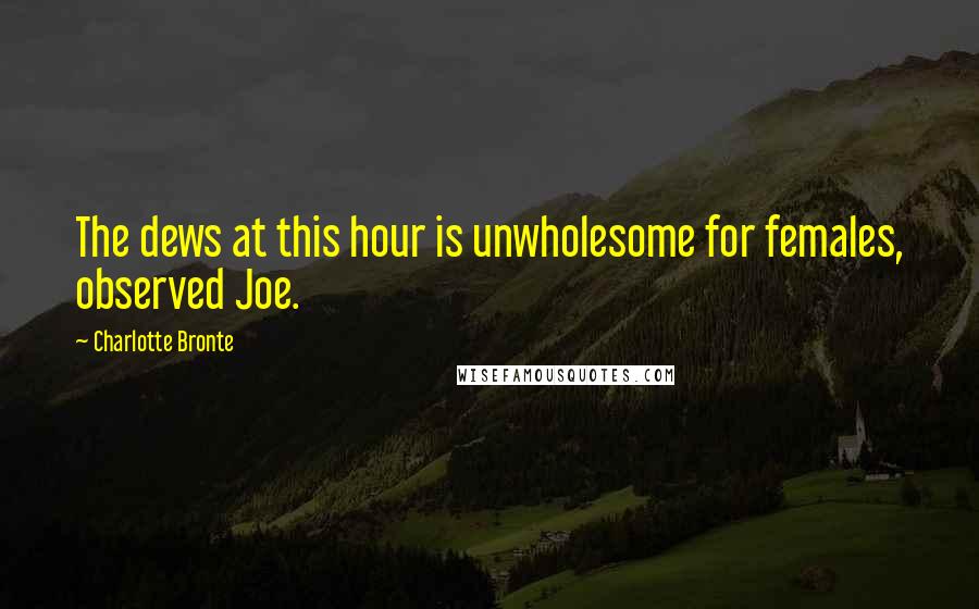 Charlotte Bronte Quotes: The dews at this hour is unwholesome for females, observed Joe.