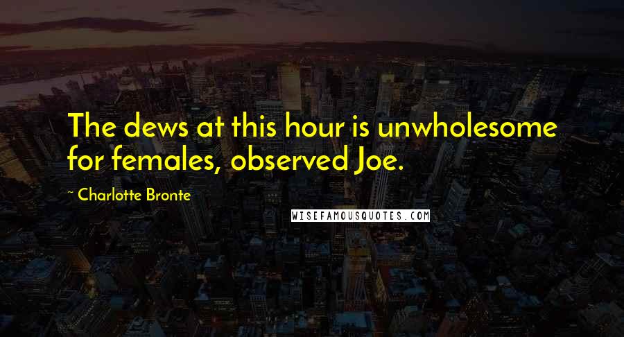 Charlotte Bronte Quotes: The dews at this hour is unwholesome for females, observed Joe.