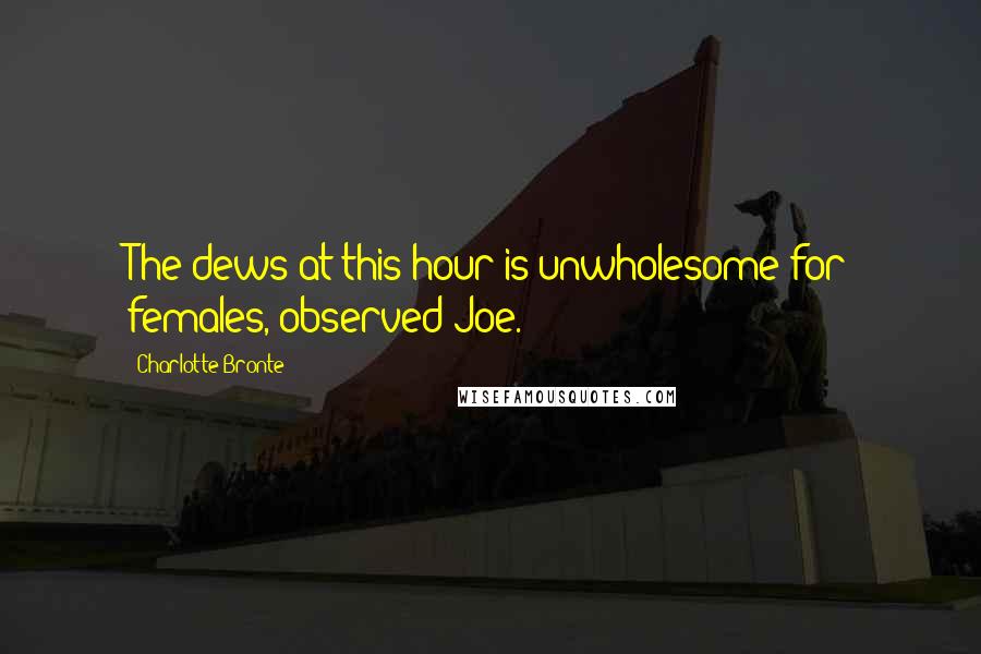 Charlotte Bronte Quotes: The dews at this hour is unwholesome for females, observed Joe.