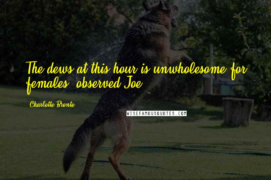 Charlotte Bronte Quotes: The dews at this hour is unwholesome for females, observed Joe.