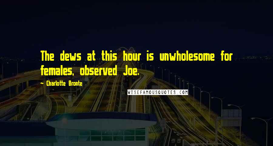 Charlotte Bronte Quotes: The dews at this hour is unwholesome for females, observed Joe.